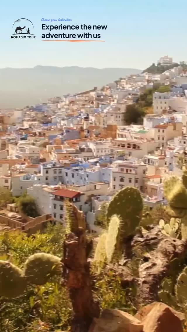 Travel Morocco the way it was meant to be experienced✨

From quiet mountain pass on the north to vibrant golden kasbah on sahara sunsets 🐫each journey carefully curated, balanced and refined through real experience on the road.

No random routes and no rush!
Only thoughtfully prepared programs designed to let you truly feel Morocco with all its colors and kindness🇲🇦

Choose your journey.
We take care of the rest.

Text us and discover all our selected travels - start your adventure beyond the map 😍

#morocco #travelmorocco #nomadtravel #moroccantravelers #visitmorocco